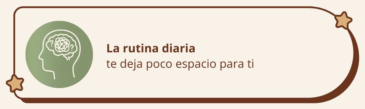 pagina web (8)